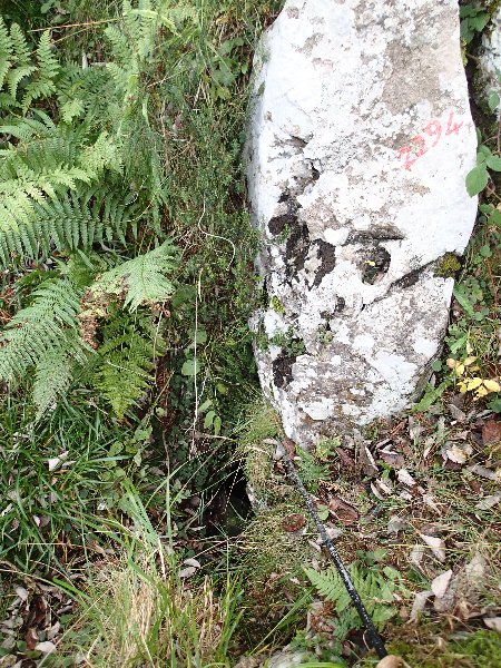 2294PA230587.JPG
L'entrée de la torca del Plan B le jour de la découverte et avant désobstruction.
Fichier manquant