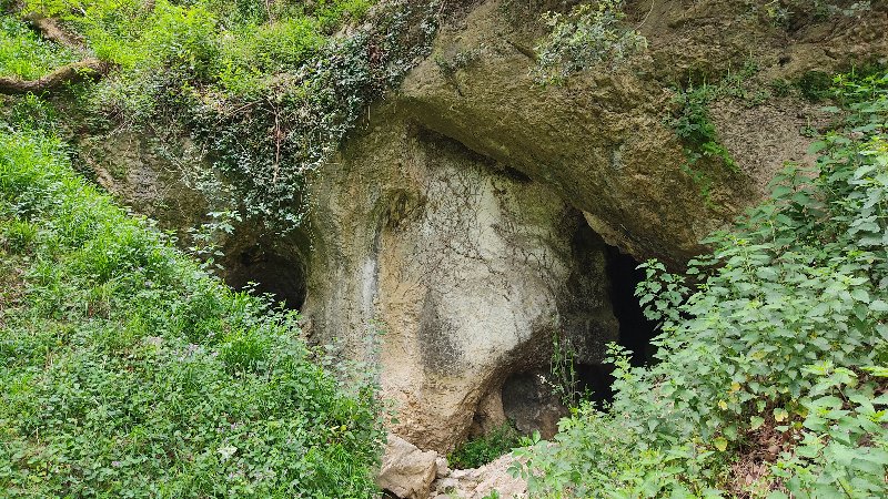 IMG_20250508_152934.jpg
L'entrée inférieure, double, du réseau de Campuvijo (925 m, voir cueva alta de Campuvijo)
Fichier manquant