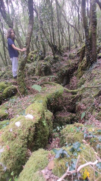 IMG_20260715_162454.jpg
La fissure d'entrée dans la forêt lapiazée
Fichier manquant