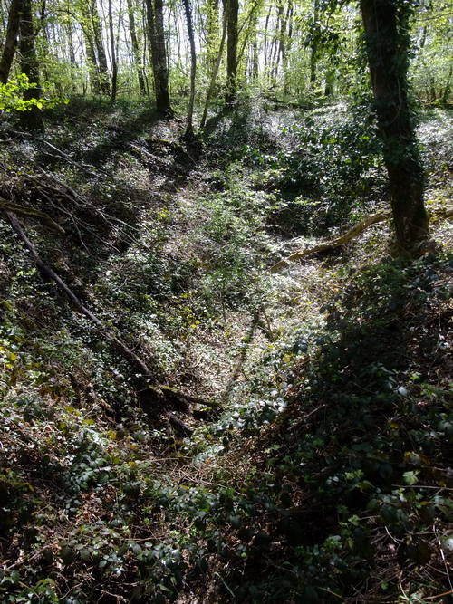 Photo 10217007 (doline-perte)
Fichier manquant