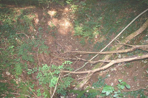 Photo 10012001 (doline)
Fichier manquant