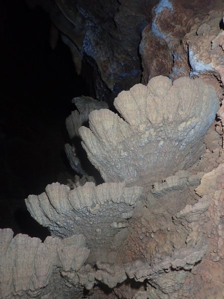 Concrétions caractéristiques en éventail
Fichier manquant