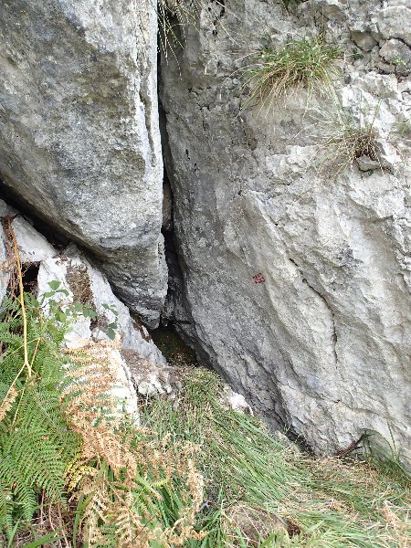 P9210469.JPG
L'entrée de la torca Charlie lors des premiers travaux de désobstruction.
Fichier manquant