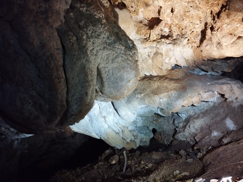 Probables concrétions mamellaires
Ce type de concrétions témoigne d'ordinaire d'une formation en milieu amphibie (soit formée en contexte d'ennoyages et de dénoyages successifs) : vérifier s'il s'agit bien de ce type de concrétion et non d'un lapiaz de voûte. S'il s'agit bien de concrétions, leur présence dans une cavité sèche s'ouvrant assez haut sur le versant interroge : la cavité a-t-elle été autrfois une exsurgence ??
Fichier manquant