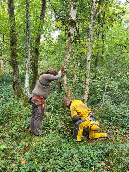 Gffre-Bois-de-l-Ermitage
Fichier manquant