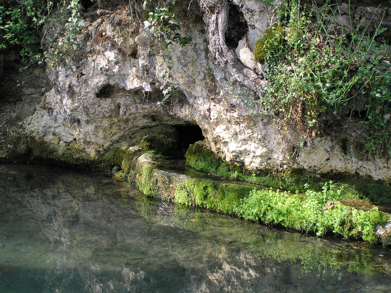 picharot.JPG
Fichier manquant