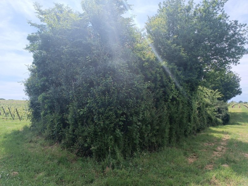 Doline
Fichier manquant