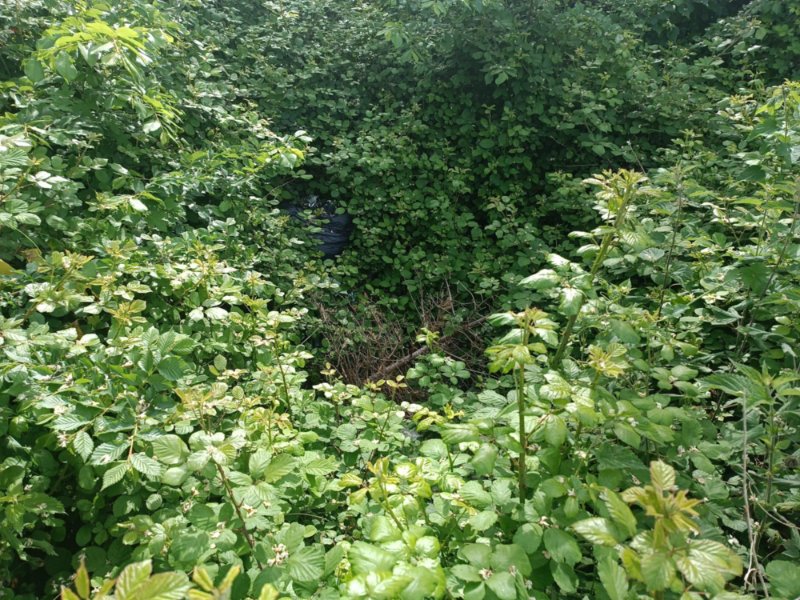 Doline
Fichier manquant