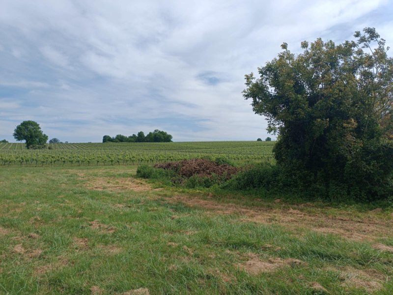 Doline
Fichier manquant