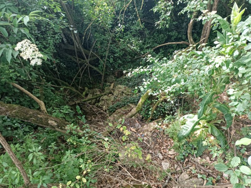 Doline
Fichier manquant