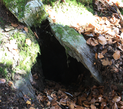 Gouffre Hebdo
Entrée Gouffre Hebdo
Fichier manquant